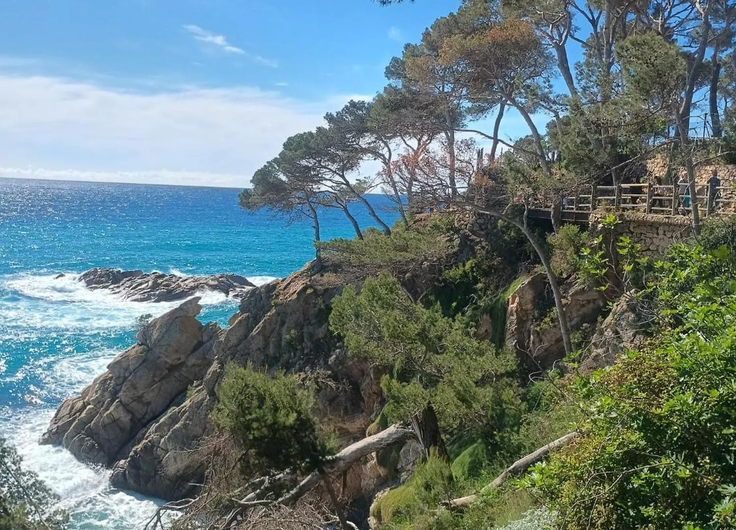 La Sardineta, Es Un Apartamento En La Costa Brava, Palamos 1 Minuto De La Playa Alquiler Temporal Minimo 32 Noches Διαμέρισμα
